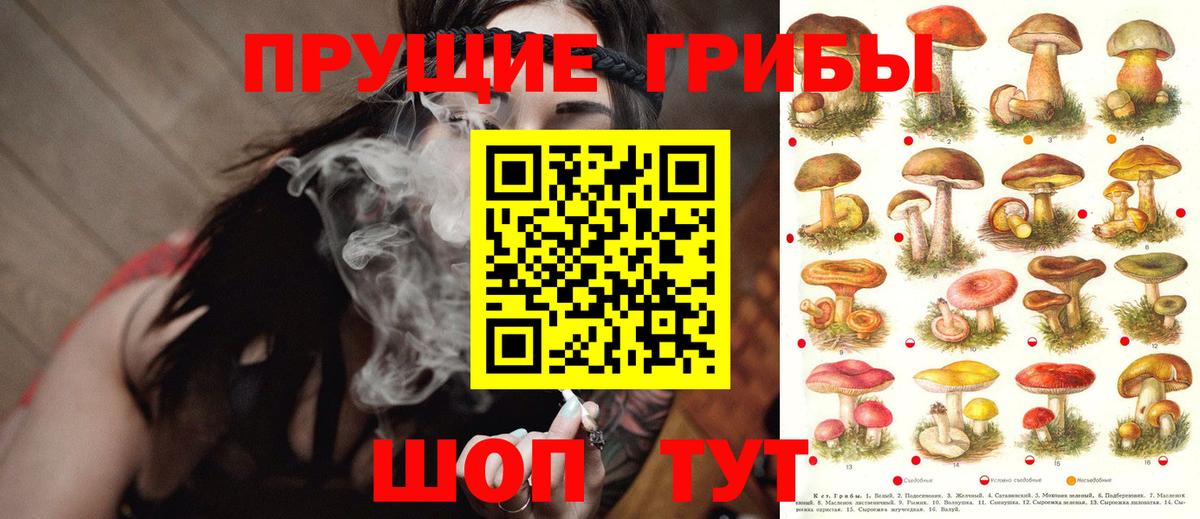 Галлюциногенные грибы прущие грибы  Вход с VPN  Магадан 