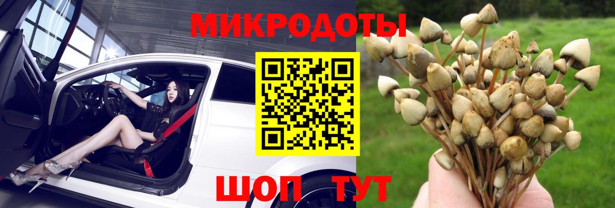 Галлюциногенные грибы прущие грибы Магадан